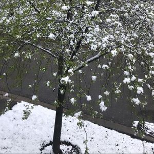 Meet your Posher, Joseph